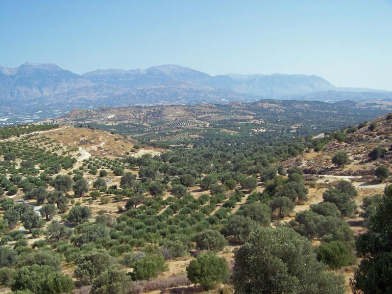 Villas Alexandros Kalamaki  Ruang foto